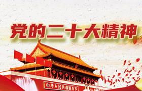党的二十大精神