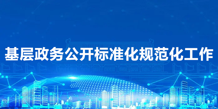 基层政务公开标准化规范化工作
