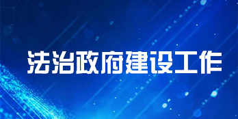 法治政府建设工作