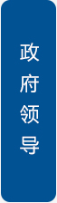 政府领导
